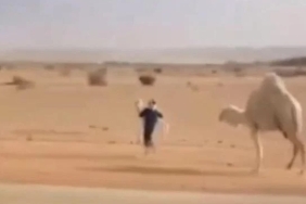 yolu-kapatan-deveyi-kenara-cekmek-istedi-beceremeyince-bakin-ne-yapti-74m1eXb8.jpg