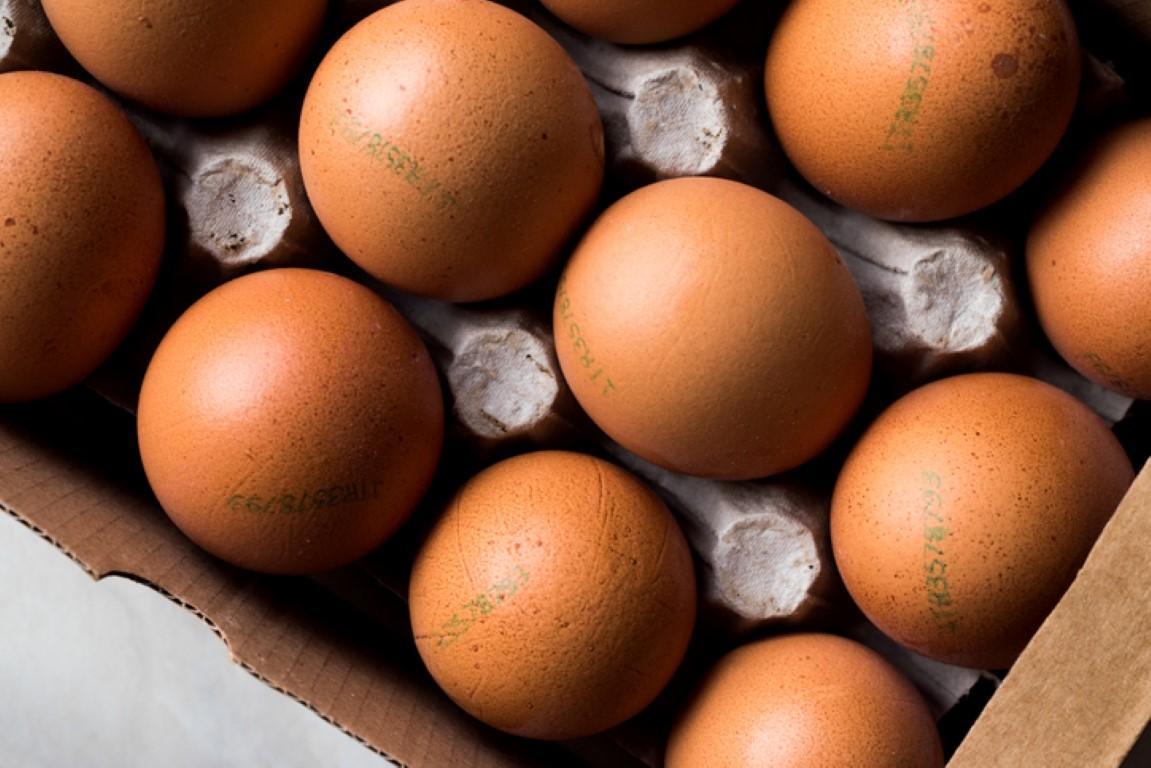 Yumurta Tüketiminin Zihinsel Sağlık Üzerindeki Etkileri