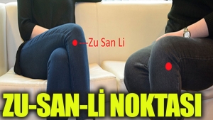 zu-san-li-nedir-jmq9jXyG.jpg