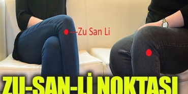 zu-san-li-nedir-jmq9jXyG.jpg