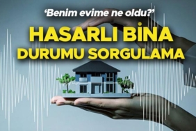 bina-hasar-tespit-sorgulama-ve-basvuru-ekrani-e-devlet-2025-bina-hasar-tespiti-basvurusu-EXQdvrC4.jpg