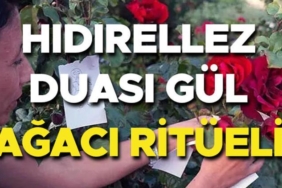 hidirellez-duasi-ve-dilekleri-2025-hidirellez-gul-agaci-ritueli-nasil-yapilir-ne-zaman-7hbY6Yry.jpg