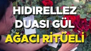 hidirellez-duasi-ve-dilekleri-2025-hidirellez-gul-agaci-ritueli-nasil-yapilir-ne-zaman-7hbY6Yry.jpg