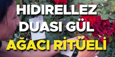hidirellez-duasi-ve-dilekleri-2025-hidirellez-gul-agaci-ritueli-nasil-yapilir-ne-zaman-7hbY6Yry.jpg