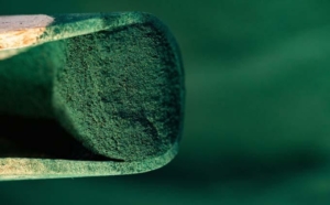 sudan-cikan-saglik-takviyesi-besin-deposu-antioksidan-kaynagi-iste-spirulinanin-sagliga-faydalari-215cSuHw.jpg
